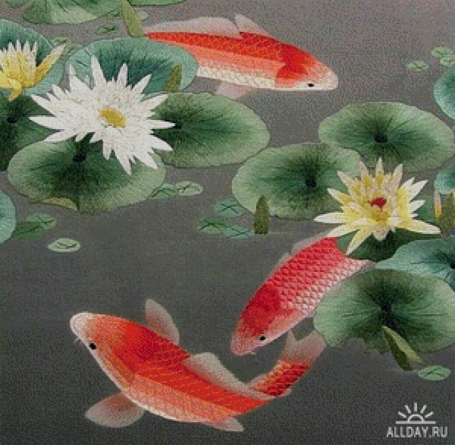 японские карпы - карпы, япония - предпросмотр