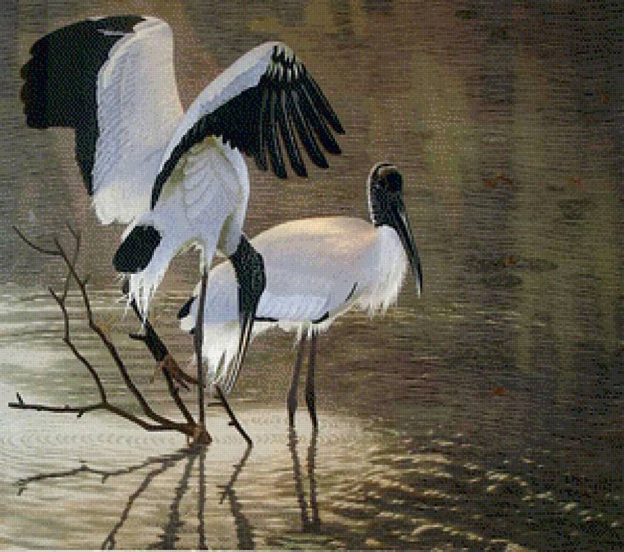 журавли - птицы, журавли - предпросмотр