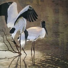 Схема вышивки «журавли»