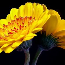 Схема вышивки «9»