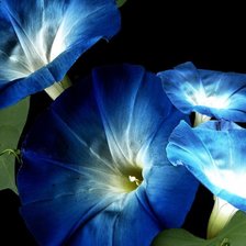 Схема вышивки «10»