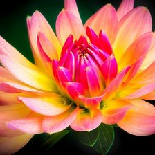 Схема вышивки «12»