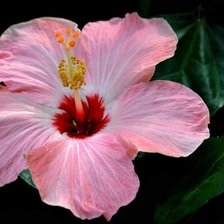 Схема вышивки «15»