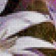 Предпросмотр схемы вышивки «17» (№586259)