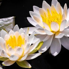 Схема вышивки «18»