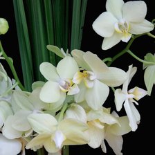 Схема вышивки «19»