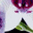 Предпросмотр схемы вышивки «22» (№586266)