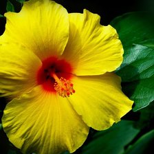 Схема вышивки «25»