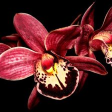 Схема вышивки «30»