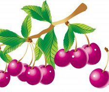 Схема вышивки «45»