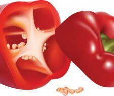 Схема вышивки «48»