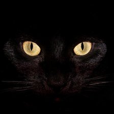 Схема вышивки «53»