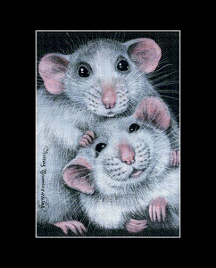 мышки - грызуны - предпросмотр