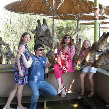 Схема вышивки «дмс жирафы»