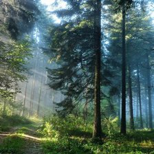 Схема вышивки «№586563»