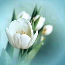 Схема вышивки «№586569»