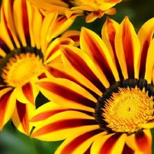 Схема вышивки «№586573»