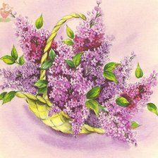 Схема вышивки «№586619»