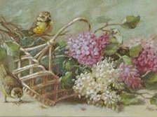 Схема вышивки «№586627»