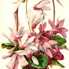 Схема вышивки «№586638»