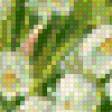 Предпросмотр схемы вышивки «№586648»