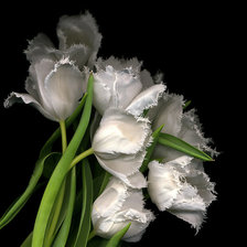 Схема вышивки «арнамент»