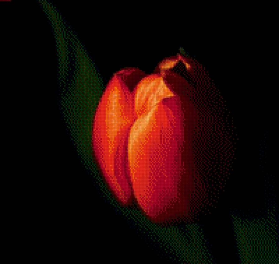 арнамент - предпросмотр