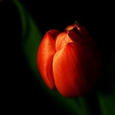 Схема вышивки «арнамент»