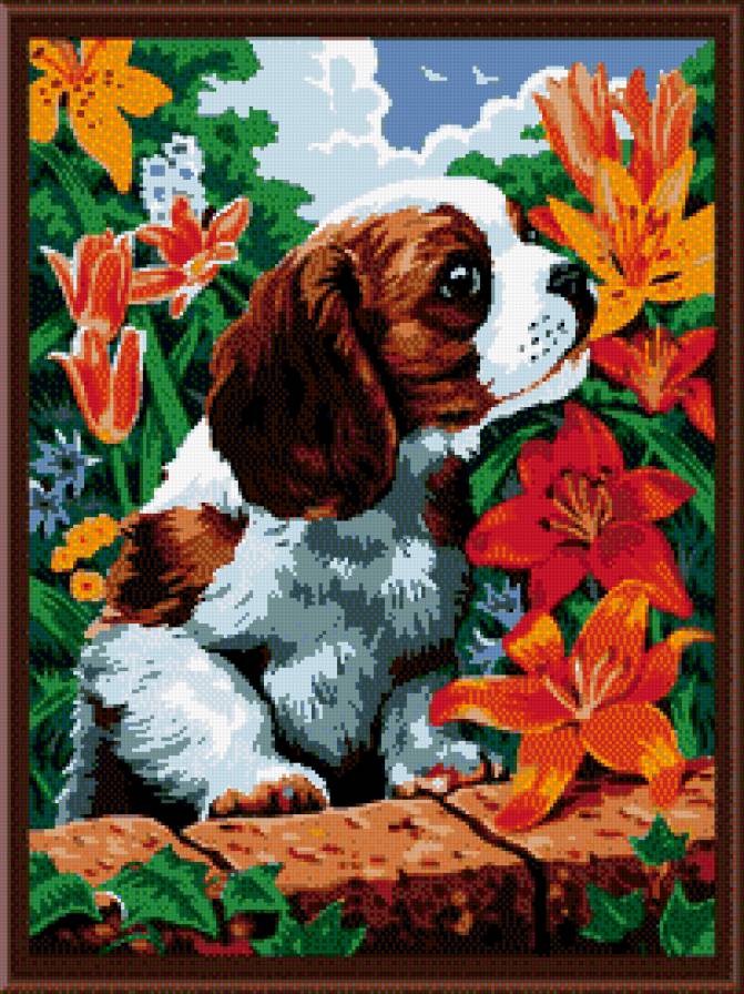 Аромат цветов - животные, цветы, собаки - предпросмотр