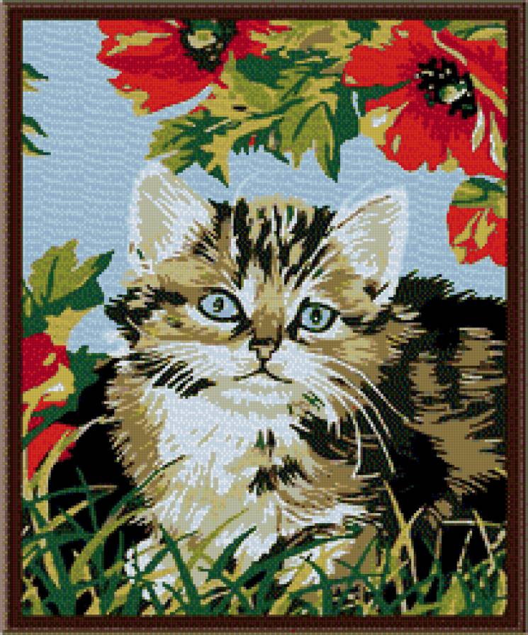 Кот в цветах - коты, цветы, животные - предпросмотр