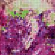 Предпросмотр схемы вышивки «17» (№586790)