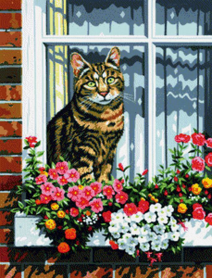 Кот на окошке - животные, цветы, коты - предпросмотр