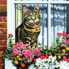 Схема вышивки «Кот на окошке»