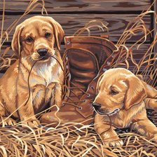 Схема вышивки «Щенки с ботинком»