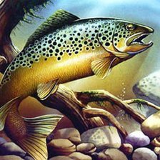 Схема вышивки «№586832»