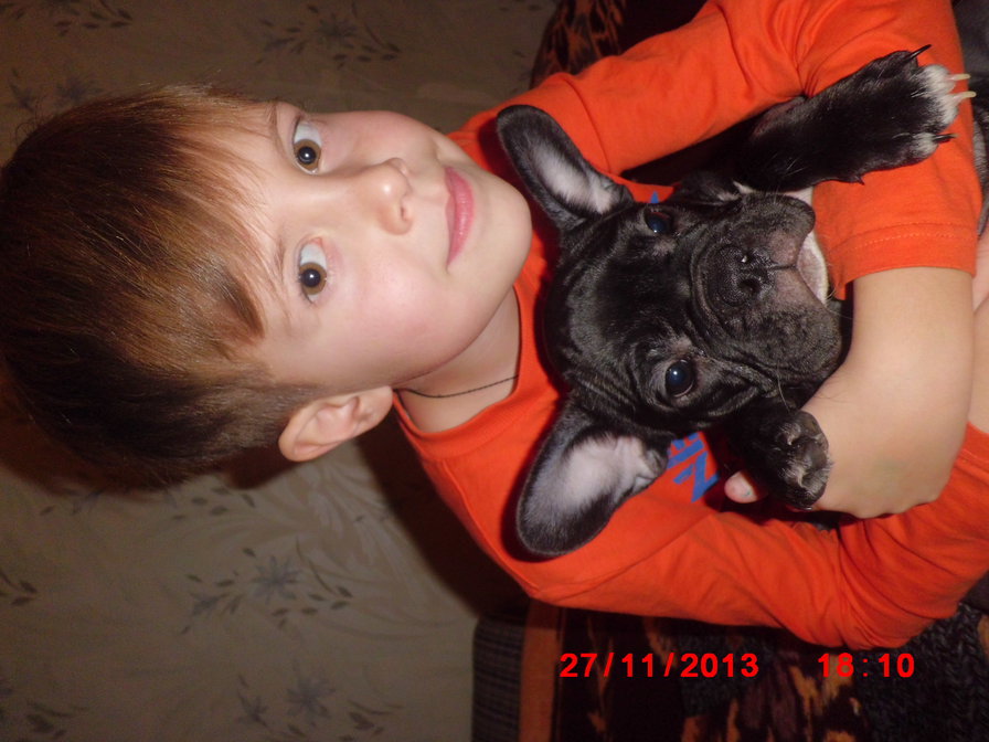 ============ - ================ - оригинал