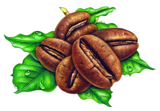 №586849 - оригинал