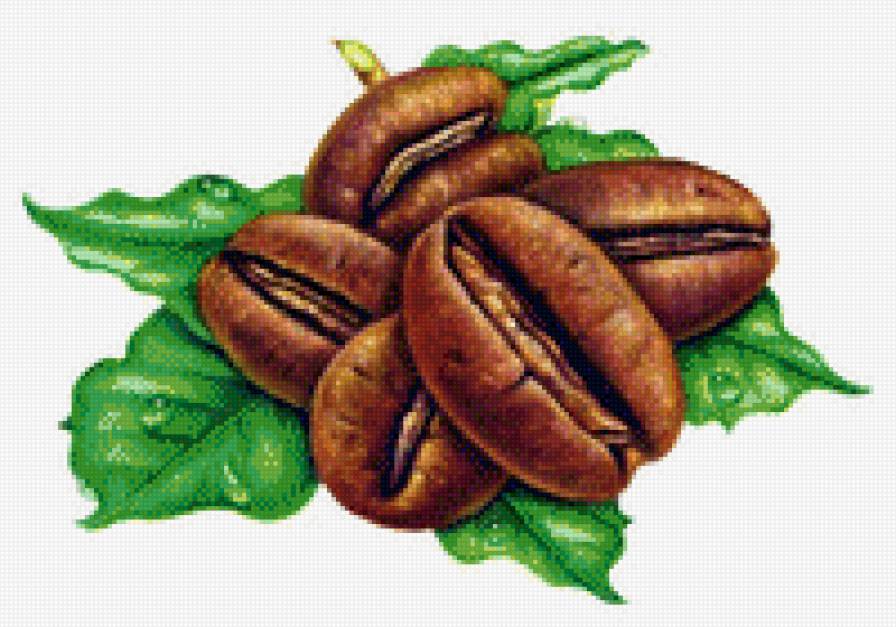 №586849 - предпросмотр