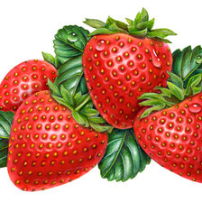 Схема вышивки «№586850»