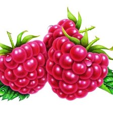 Схема вышивки «№586851»