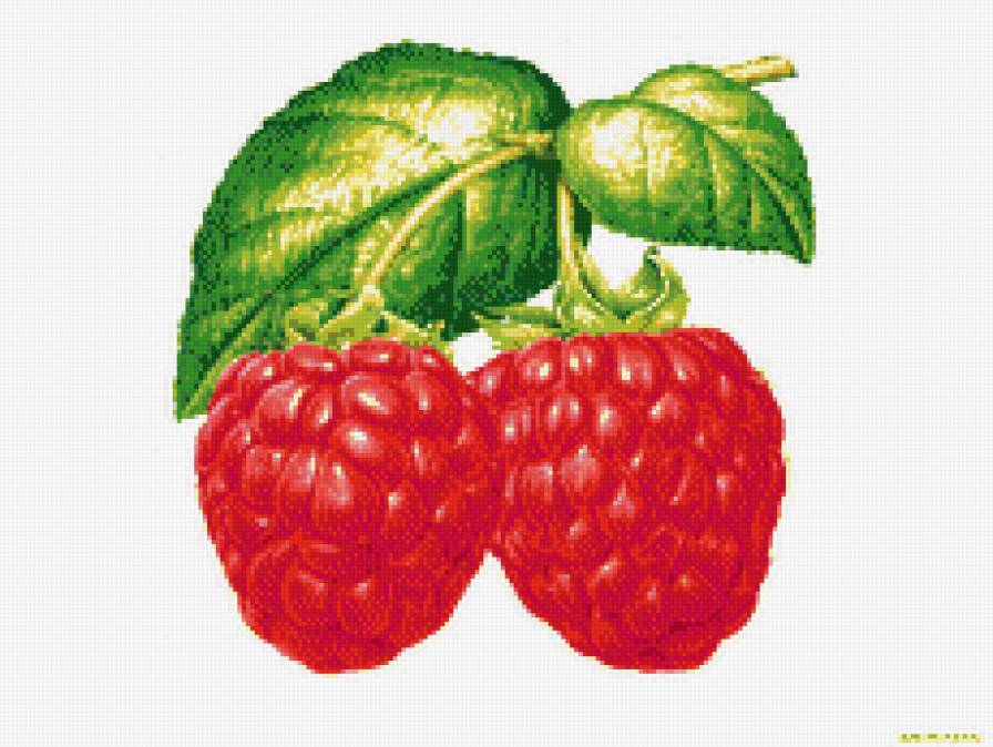 Ароматная малина - натюрморт, для кухни, ягоды, фрукты - предпросмотр