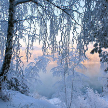 Схема вышивки «морозное утро»