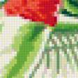 Предпросмотр схемы вышивки «Колибри» (№586955)