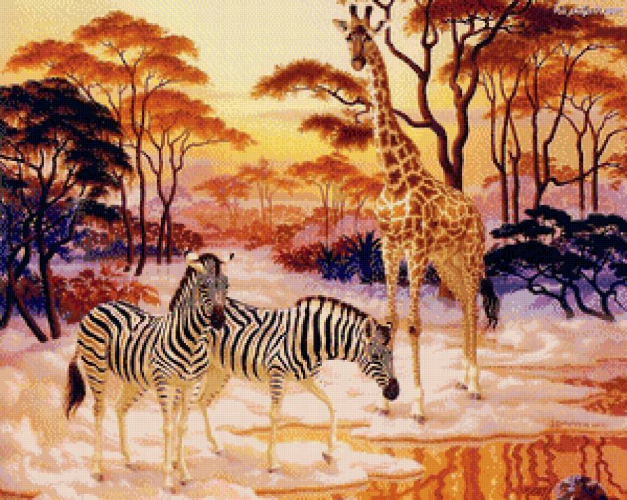 Африка - зебры, животные, жираф, пейзаж - предпросмотр