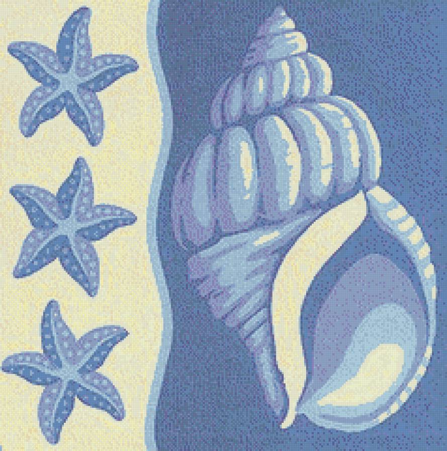 Ракушка и морские звезды - море - предпросмотр
