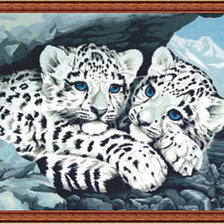 Белые тигрята