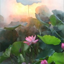 Схема вышивки «кувшинки в пруду»