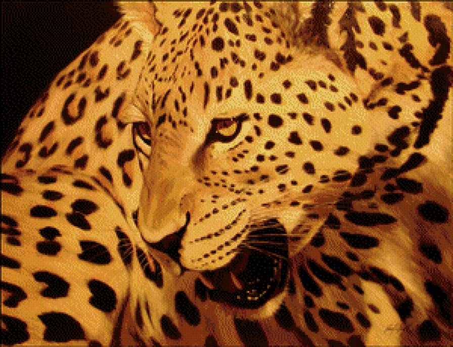 тигр - природа, животные, тигр - предпросмотр