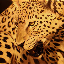 Схема вышивки «тигр»