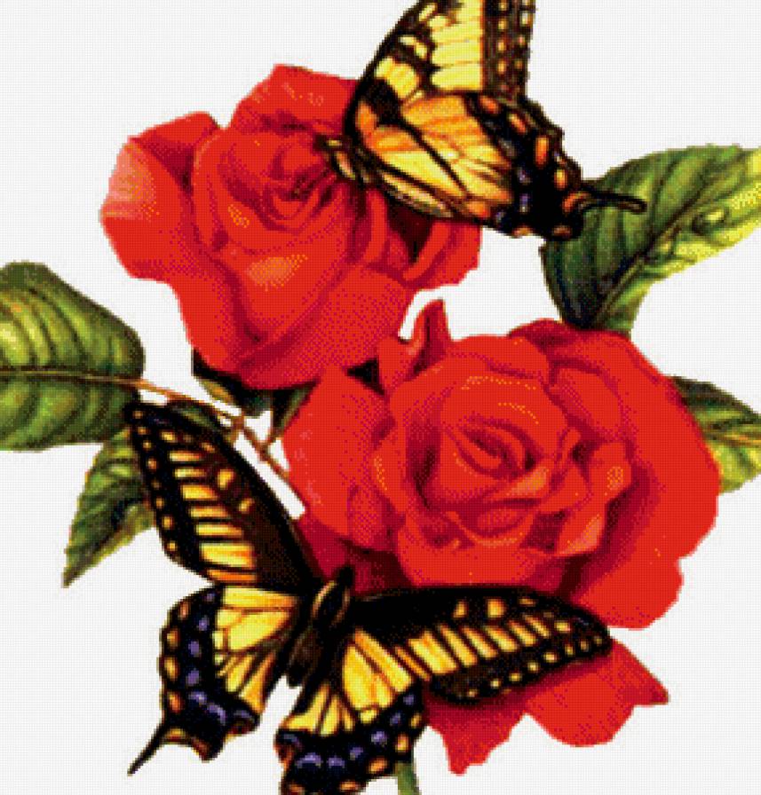 №587296 - розы - предпросмотр